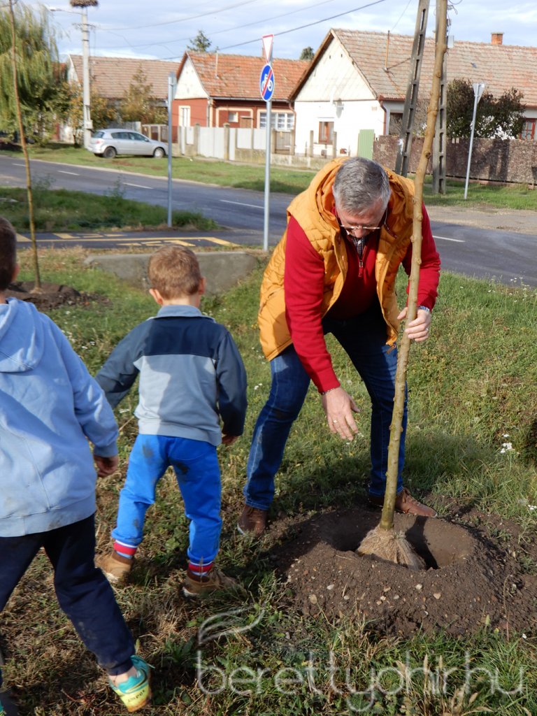 Közösségi faültetés Berettyóújfaluban 06
